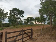 Fazenda / Sítio / Chácara com 2 Quartos à venda, 13000m² no Zona Rural, Faina - Foto 8