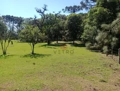 Terreno / Lote / Condomínio à venda, 3000m² no , Canela - Foto 3