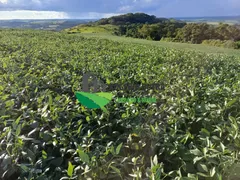 Fazenda / Sítio / Chácara à venda no Rural, Tamarana - Foto 5