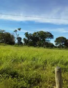 Fazenda / Sítio / Chácara à venda no Centro, Urucuia - Foto 6