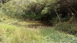 Fazenda / Sítio / Chácara à venda, 72600m² no Rural, Torre de Pedra - Foto 7