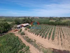 Fazenda / Sítio / Chácara com 6 Quartos à venda, 26000m² no Saltinho, Elias Fausto - Foto 12