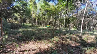 Terreno / Lote / Condomínio à venda no Condomínio Recanto da Serra, Brumadinho - Foto 10