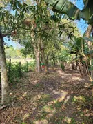 Fazenda / Sítio / Chácara à venda, 30000m² no Pinheirinho, Taubaté - Foto 25