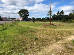 Terreno / Lote Comercial à venda, 5760m² no Presidente Vargas, Caxias do Sul - Foto 3