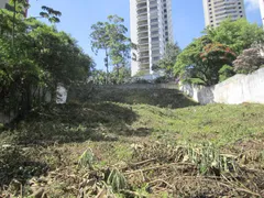 Terreno / Lote / Condomínio à venda, 2489m² no Vila Suzana, São Paulo - Foto 4