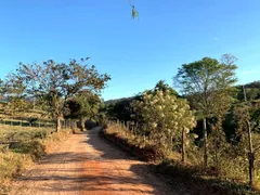 Fazenda / Sítio / Chácara à venda, 1000m² no Ravena, Sabará - Foto 9