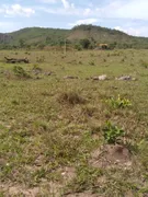 Fazenda / Sítio / Chácara à venda no Zona Rural, Heitoraí - Foto 11