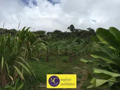 Fazenda / Sítio / Chácara com 4 Quartos à venda, 110000m² no Rural, Mulungu - Foto 30