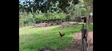 Fazenda / Sítio / Chácara com 3 Quartos à venda, 27000m² no Area Rural de Senador Canedo, Senador Canedo - Foto 26