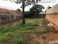 Terreno / Lote / Condomínio à venda, 342m² no Vila Yamada, Araraquara - Foto 3