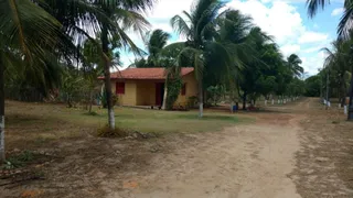 Fazenda / Sítio / Chácara com 4 Quartos à venda, 250m² no Taíba, São Gonçalo do Amarante - Foto 7