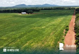 Fazenda / Sítio / Chácara à venda, 338m² no Zona Rural, Porto Nacional - Foto 6