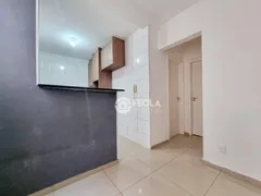 Apartamento com 2 Quartos à venda, 45m² no Jardim Recanto, Americana - Foto 13