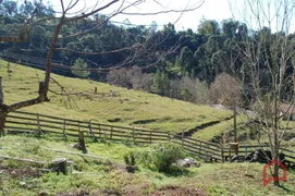 Fazenda / Sítio / Chácara com 2 Quartos à venda, 70m² no Centro, Picada Café - Foto 18