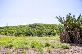Fazenda / Sítio / Chácara com 2 Quartos à venda, 200m² no Zona Rural, Morungaba - Foto 9
