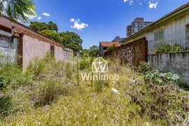 Terreno / Lote / Condomínio à venda, 554m² no Vila Ipiranga, Porto Alegre - Foto 5