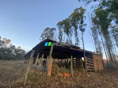 Fazenda / Sítio / Chácara com 1 Quarto à venda, 55m² no Zona Rural, Belo Vale - Foto 5