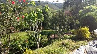 Fazenda / Sítio / Chácara com 3 Quartos à venda, 363000m² no Bairro Alto, Natividade da Serra - Foto 5