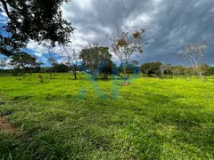 Fazenda / Sítio / Chácara com 3 Quartos à venda, 300m² no Zona Rural, São Sebastião do Oeste - Foto 38