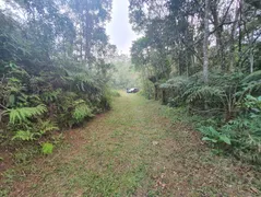 Terreno / Lote / Condomínio à venda, 16280m² no Jardim Planteucal, Ribeirão Pires - Foto 17