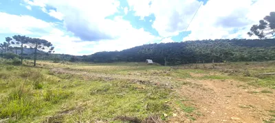 Fazenda / Sítio / Chácara com 2 Quartos à venda, 20000m² no Zona Rural, Urubici - Foto 44