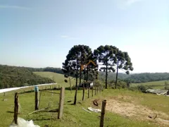 Fazenda / Sítio / Chácara com 2 Quartos à venda, 20000m² no Area Rural de Sao Jose dos Pinhais, São José dos Pinhais - Foto 25