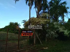 Fazenda / Sítio / Chácara com 1 Quarto à venda, 5000m² no Panorama, Uberlândia - Foto 3