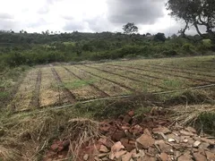 Fazenda / Sítio / Chácara à venda, 50000m² no Zona Rural, Glória do Goitá - Foto 4