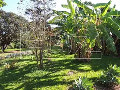 Fazenda / Sítio / Chácara com 1 Quarto à venda, 3200m² no Chacara Flora, Araraquara - Foto 15