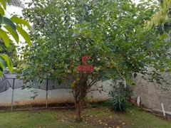 Fazenda / Sítio / Chácara com 3 Quartos à venda, 481m² no Jardim Salete, Aracoiaba da Serra - Foto 39