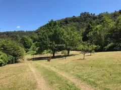 Fazenda / Sítio / Chácara com 2 Quartos à venda, 111900m² no , Gramado - Foto 2