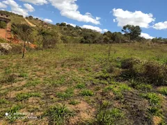 Terreno / Lote / Condomínio com 1 Quarto à venda, 5000m² no Jardim das Mangabeiras, Mateus Leme - Foto 52