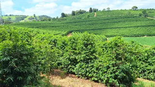 Fazenda / Sítio / Chácara à venda, 455000m² no Zona Rural, Turvolândia - Foto 7