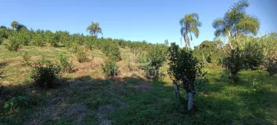 Fazenda / Sítio / Chácara com 3 Quartos à venda, 24200m² no Rio do Salto, Cascavel - Foto 11