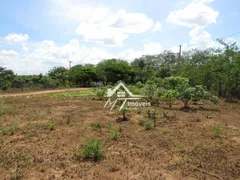 Fazenda / Sítio / Chácara com 3 Quartos à venda, 200m² no Chácara Cruzeiro do Sul, Sumaré - Foto 11