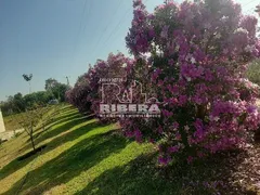 Fazenda / Sítio / Chácara com 3 Quartos à venda, 250m² no Cercado, Aracoiaba da Serra - Foto 4