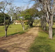 Fazenda / Sítio / Chácara com 2 Quartos à venda, 65m² no Zona Rural, Quadra - Foto 17