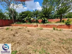 Fazenda / Sítio / Chácara com 1 Quarto à venda, 3808m² no Centro Engenheiro Schmitt, São José do Rio Preto - Foto 15