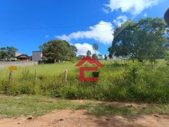 Terreno / Lote / Condomínio à venda, 1150m² no Chácara Rincao, Cotia - Foto 11