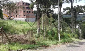 Terreno / Lote / Condomínio à venda no Salgado Filho, Caxias do Sul - Foto 1