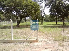 Fazenda / Sítio / Chácara à venda, 1m² no Encontro Valparaiso II, São Carlos - Foto 5