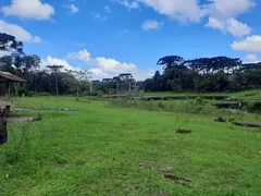 Terreno / Lote / Condomínio à venda no Contenda, São José dos Pinhais - Foto 9