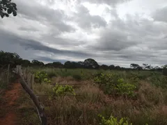 Fazenda / Sítio / Chácara com 3 Quartos à venda, 20000m² no Area Rural do Paranoa, Brasília - Foto 13