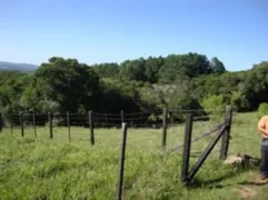 Terreno / Lote / Condomínio à venda, 5000m² no Chapéu do Sol, Porto Alegre - Foto 13