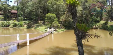 Fazenda / Sítio / Chácara com 3 Quartos à venda, 168000m² no Salgadinho, Campo Largo - Foto 24