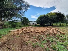 Fazenda / Sítio / Chácara à venda, 68208m² no Santa Gema, Colombo - Foto 9
