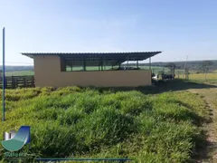 Fazenda / Sítio / Chácara com 3 Quartos à venda, 5m² no Zona Rural, São Simão - Foto 4
