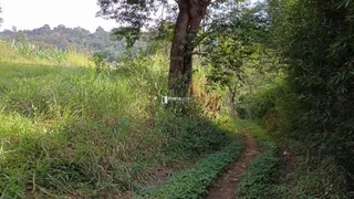 Terreno / Lote / Condomínio à venda, 19754m² no Jardim Mimas, Embu das Artes - Foto 8