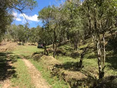 Terreno / Lote / Condomínio à venda, 240000m² no Rio do Ouro, Anitápolis - Foto 22